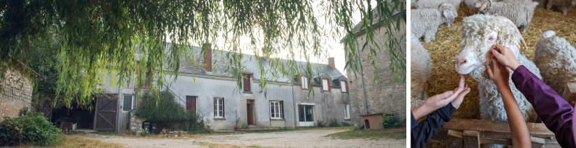Ferme des P'tits Bergers : offre groupe et scolaire 