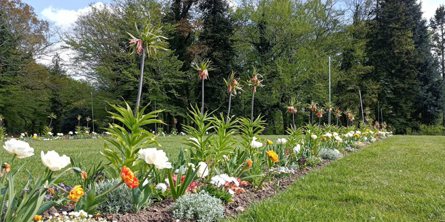 Parc Floral de la Source à Orléans