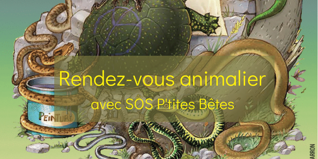 Rendez-vous animalier avec SOS P'tites Bêtes à la Maison de la forêt de Paucourt (près de Montargis)