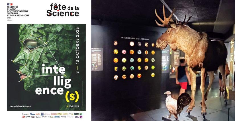 La Fête de la Science au Muséum d'Orléans