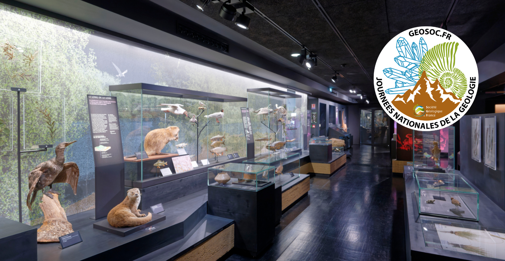 Journées nationales de la géologie au Muséum d'Orléans