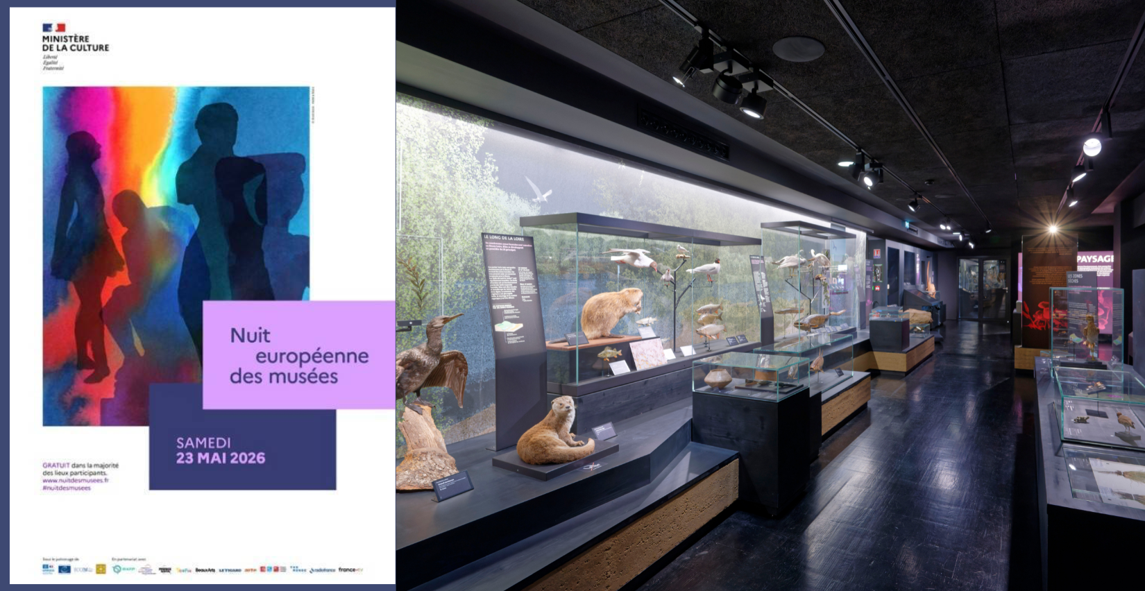 Nuit européenne des musées : Soirée pyjama au MOBE !