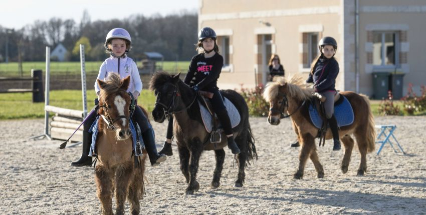 Le Haras du Val de Loire // Cours équestres enfant et stages des vacances // Saint-Denis-en-Val près d'Orléans