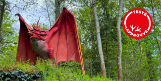 Dragons, parcours dans les arbres et mini-ferme au château-parc de Meung-sur-Loire