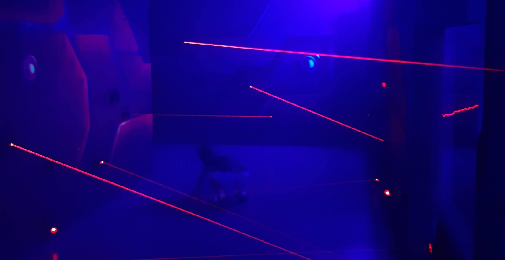 Mission d’espionnage chez Laser Tag Orléans – activité insolite en famille