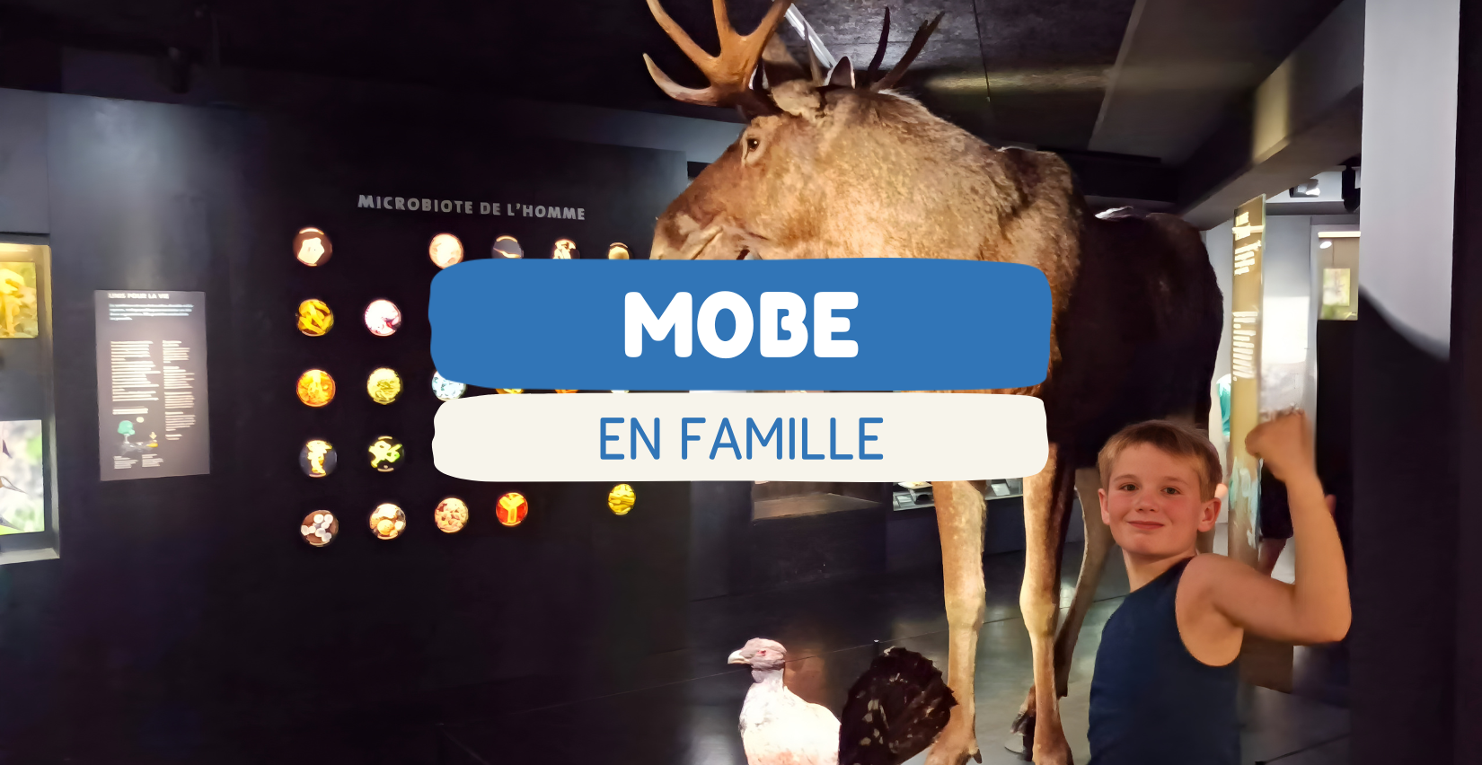 Muséum d’Orléans : que faire en famille avec des enfants ? Animations, ateliers et visites au MOBE