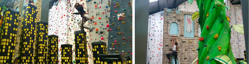 Fun Climbing chez Climb'Up orléans