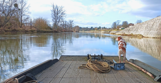 Balade en bateau sur la Loire avec les Escapades Ligériennes, à Combleux (Orléans agglo)