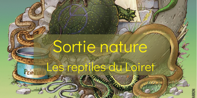 Sortie Nature "Les reptiles du Loiret" à la Maison de la Forêt de Paucourt (près Montargis)