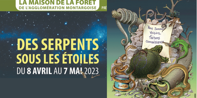 Des serpents sous les étoiles : vacances de printemps à la Maison de la Forêt (près Montargis)