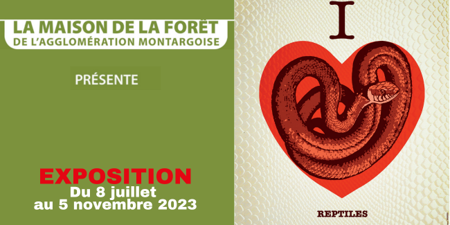 Exposition "I love reptiles" à la Maison de la Forêt, près de Montargis