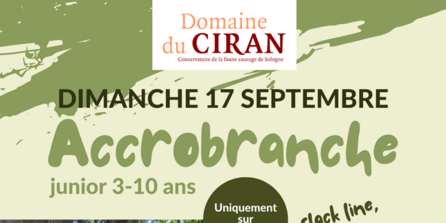 Accrobranche au Domaine du Ciran