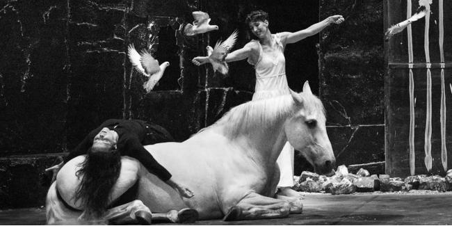 Falaise, Cirque tout public dès 8 ans , Théâtre d'Orléans - la Scène nationale