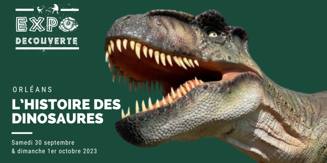 Exposition découverte : l'histoire des Dinosaures à Orléans