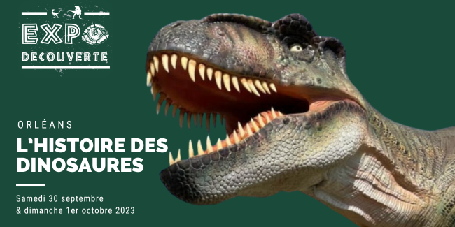 Des idées de sorties insolites autour des dinosaures