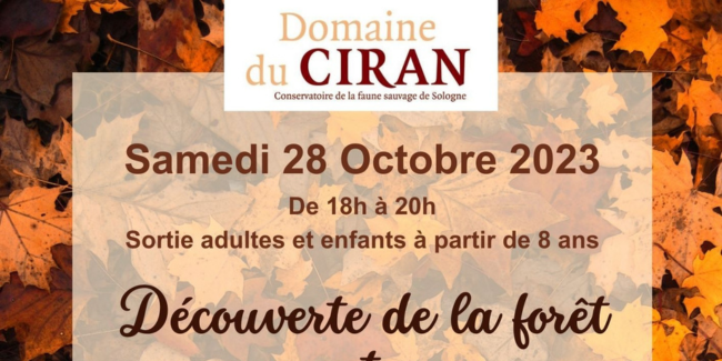 Découverte de la forêt en automne, au Domaine du Ciran