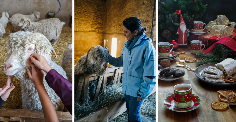 Après-midi au coin du feu avec les biquettes à la Ferme des P'tits Bergers 