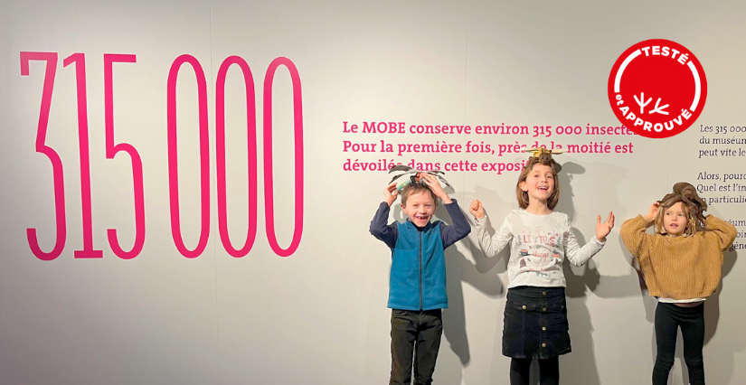 Visite commentée en famille de l'exposition "315 000 " au Muséum d'Orléans (MOBE)