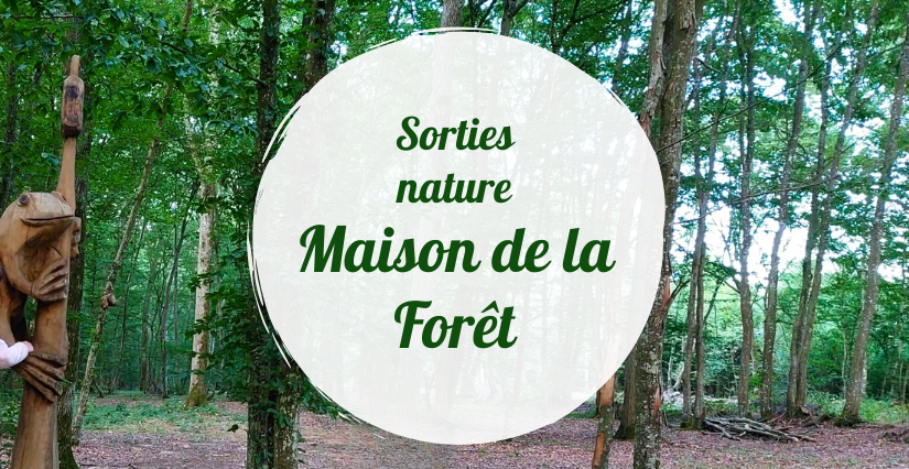 Sorties Nature à la Maison de la Forêt de Paucourt (près Montargis)