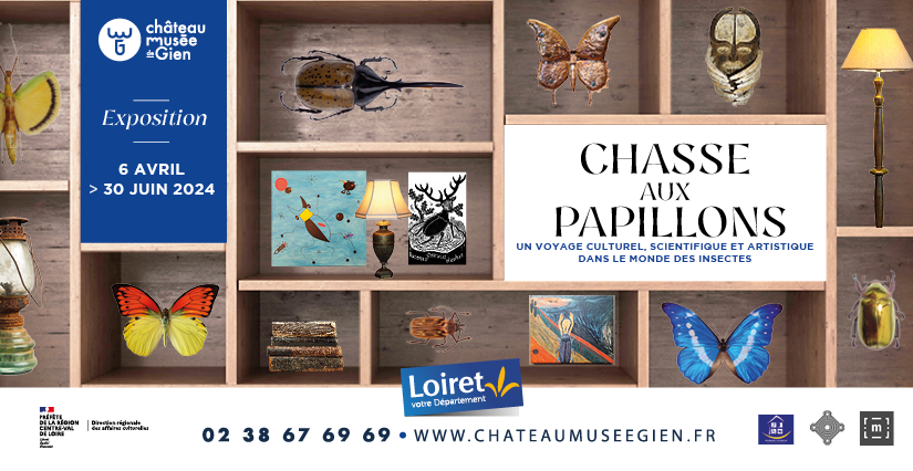 Exposition "Chasse aux papillons" au château-musée de Gien