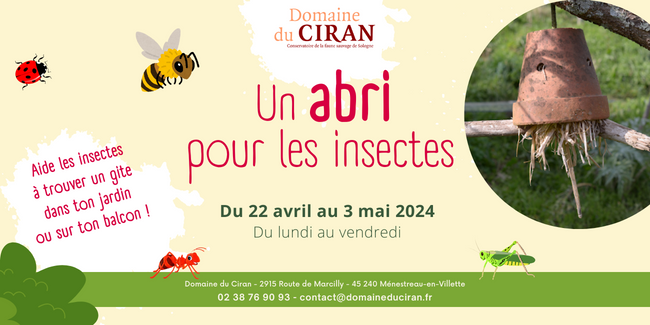 Atelier "Un abri pour les insectes" au Domaine du Ciran