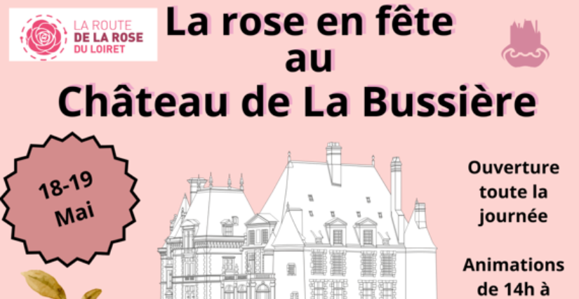 La rose en fête au Château de La Bussière