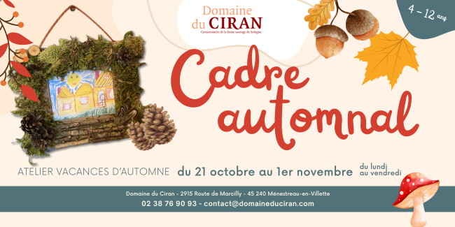 Atelier "Cadre automnal" au Domaine du Ciran