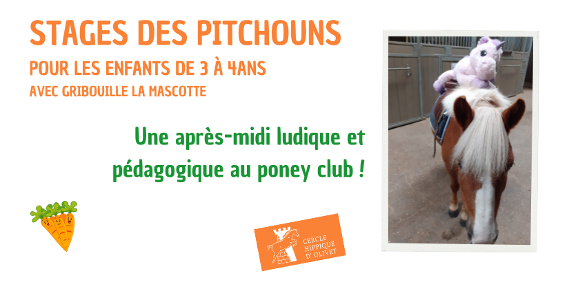Stage des pitchouns au Cercle Hippique d'Olivet