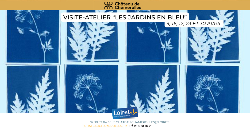 Visite-atelier "Les jardins en bleu" au Château de Chamerolles