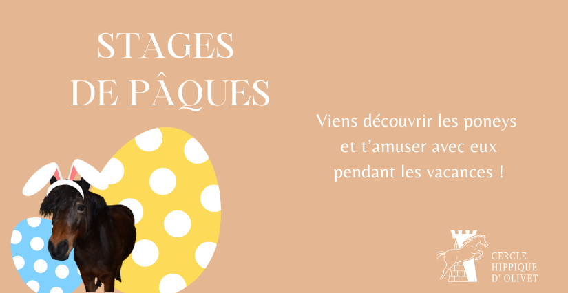 Stage d'équitation / poney pour enfants avec le Cercle Hippique d'Olivet