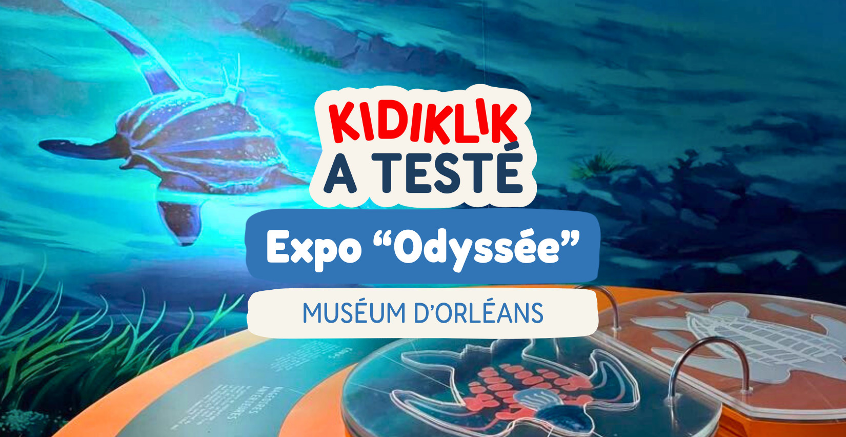 Exposition "Odyssée, des récifs aux abysses" au Muséum d’Orléans : on a testé en famille !