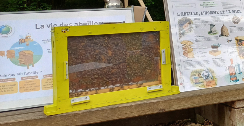 Animation "L'abeille et l'apiculteur" aux Patureaux Animation "L'abeille et l'apiculteur" aux Patureaux