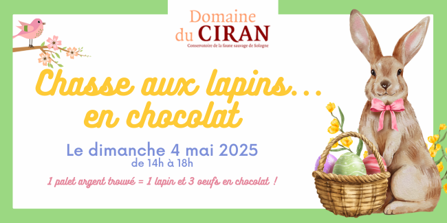 Chasse aux lapins… en chocolat au Domaine du Ciran