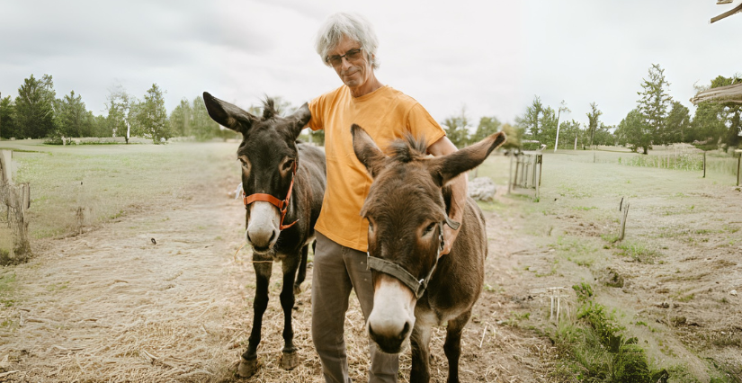 Visite à la ferme et balade avec des ânes -à Dry