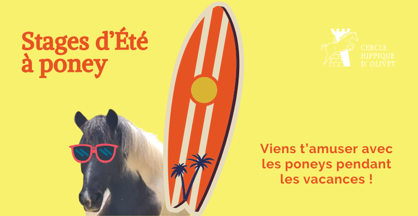 Stage d'équitation / poney pour enfants avec le Cercle Hippique d'Olivet