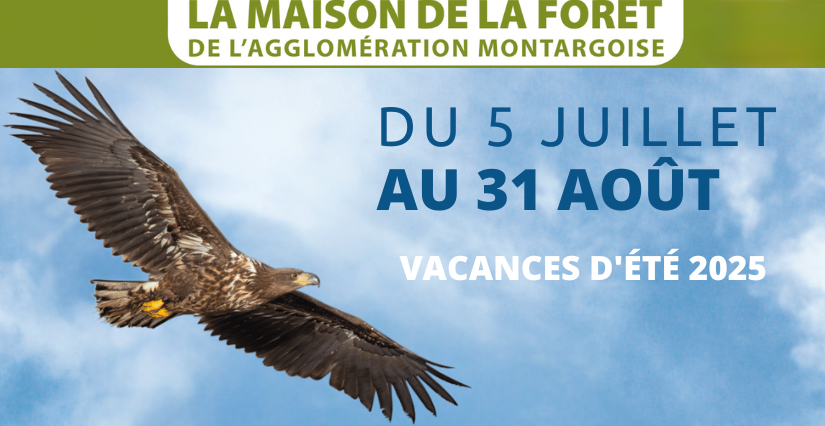 Cet été à la Maison de la Forêt – Animations nature et ateliers en famille - Paucourt (Montargis)