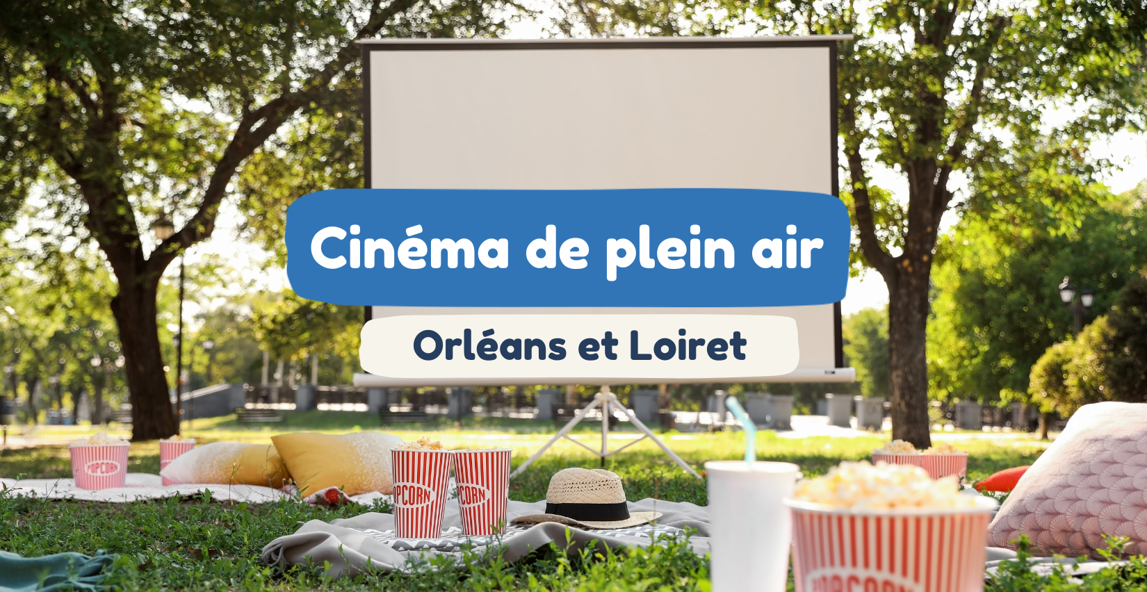 Cinéma de plein air en famille dans le Loiret : où voir un film sous les étoiles cet été ?
