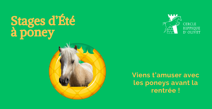 Stage d'équitation / poney pour enfants avec le Cercle Hippique d'Olivet