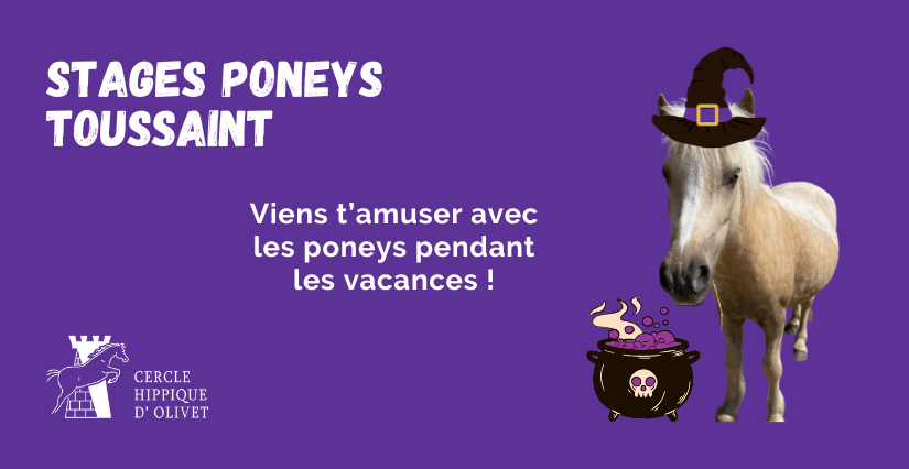 Stage d'équitation / poney pour enfants avec le Cercle Hippique d'Olivet