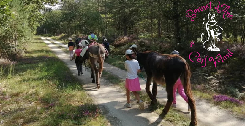 Randonnées avec des ânes à Ingrannes au cœur de la Forêt d’Orléans
