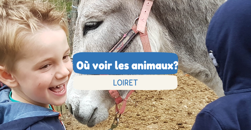 Où voir les animaux avec les enfants dans le Loiret ?