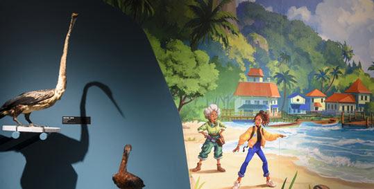 Exposition "Odyssée, des récifs aux abysses" au Muséum d’Orléans : prolongement jusqu'au 3 novembre !