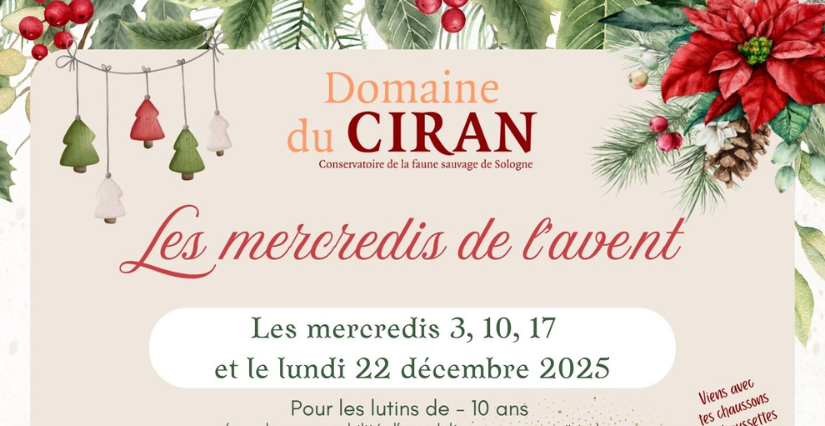 Les après-midi de l'Avent au Domaine du Ciran