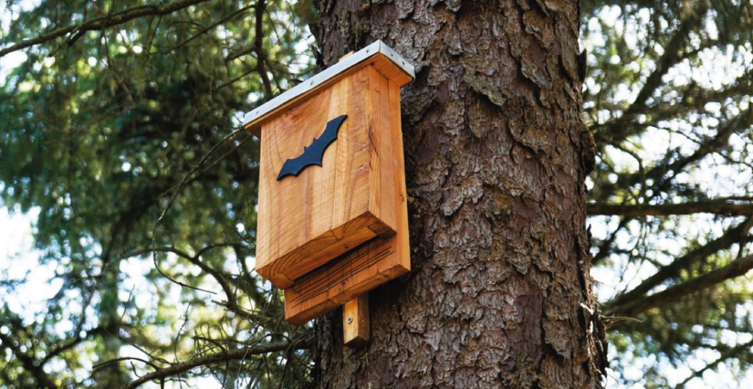Atelier enfant "Fabrication de nichoirs à chauves-souris" - Le Belvédère du Val de Sully Atelier enfant "Fabrication de nichoirs à chauves-souris" - Le Belvédère du Val de Sully