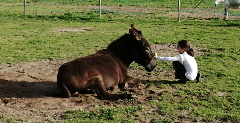 Rencontre des animaux pour enfants différent - Bonnet d'Âne et Cerf-Volant à Ingrannes