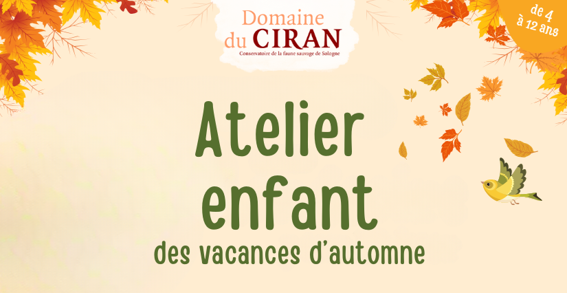 Atelier vacances d’automne - Domaine du Ciran (Ménestreau-en-Villette)