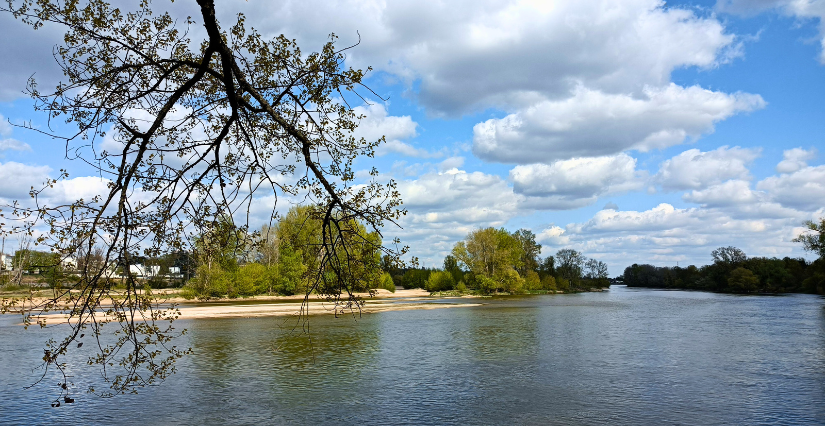 Animation nature & environnement - Parc de Loire