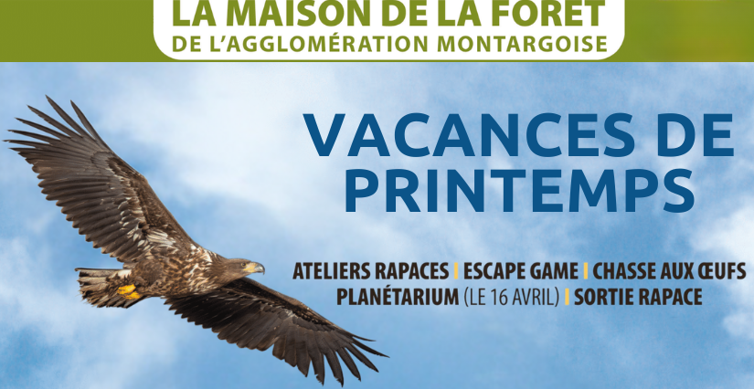 Vacances de printemps à la Maison de la Forêt de l'Agglomération Montargoise