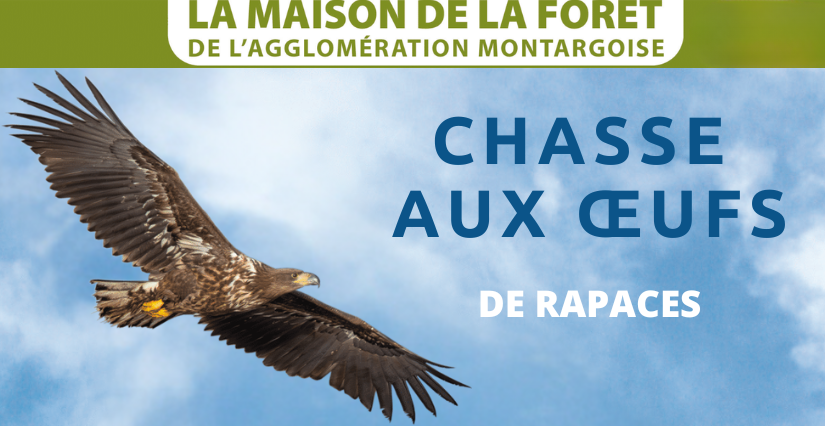 Chasse aux oeufs à la Maison de la Forêt à Paucourt (près Montargis)