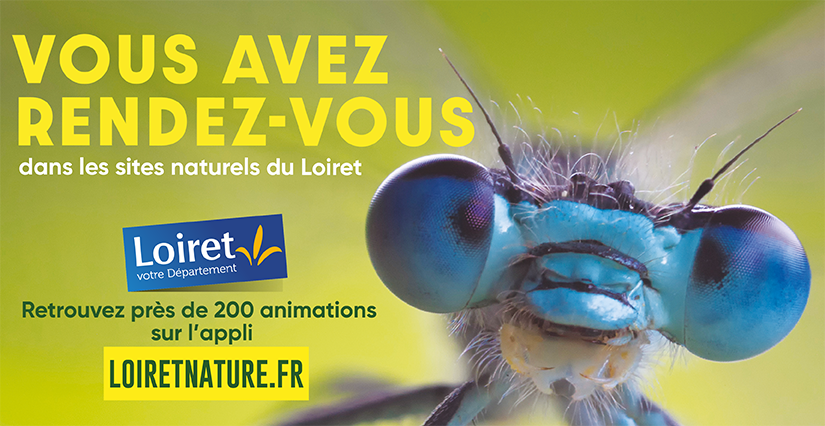 Petite vannerie sauvageonne - Les Pâtureaux à Chambon-la-Forêt